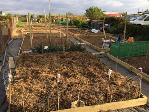 Constructing the VeggiePlot allotments
