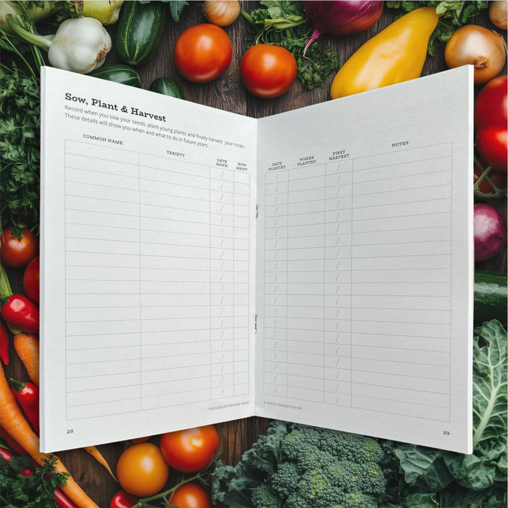 Open Record Book Back Cover with vegetables background