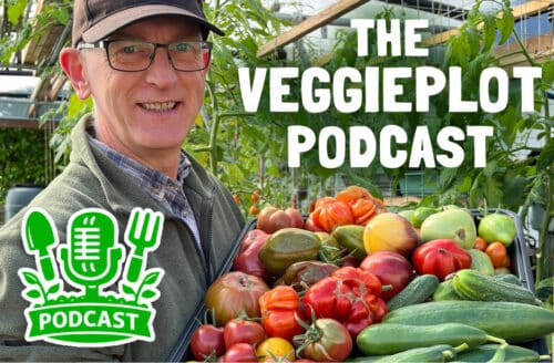 Man holding a box of vegetables for podcast episode