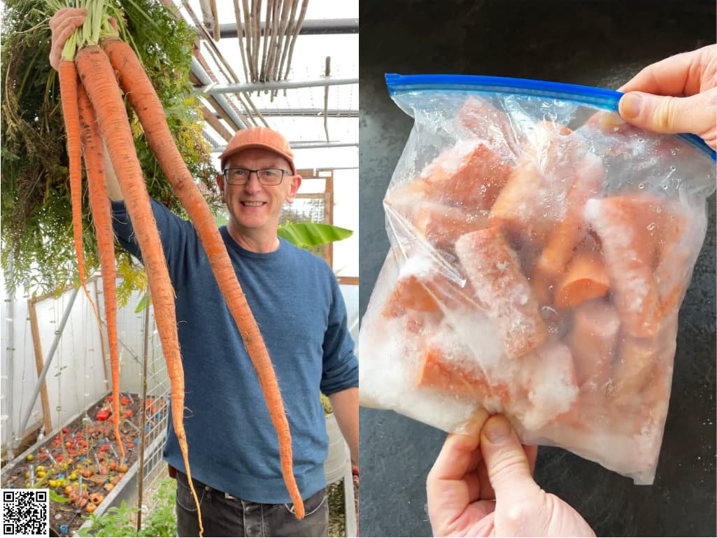 Man holding up very long carrots and a bag of frozen carrots