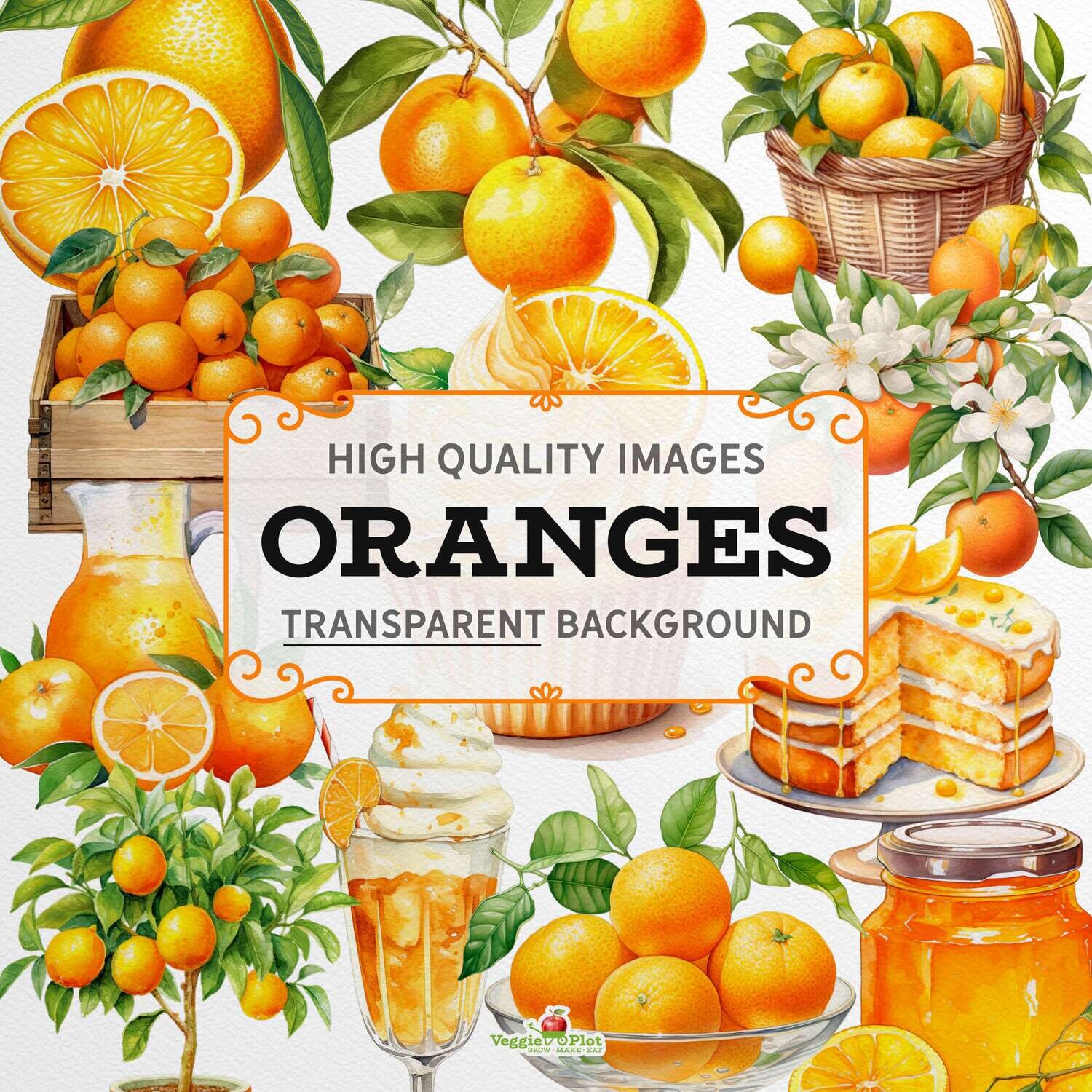 VeggiePlot Oranges Clipart - Pack 1