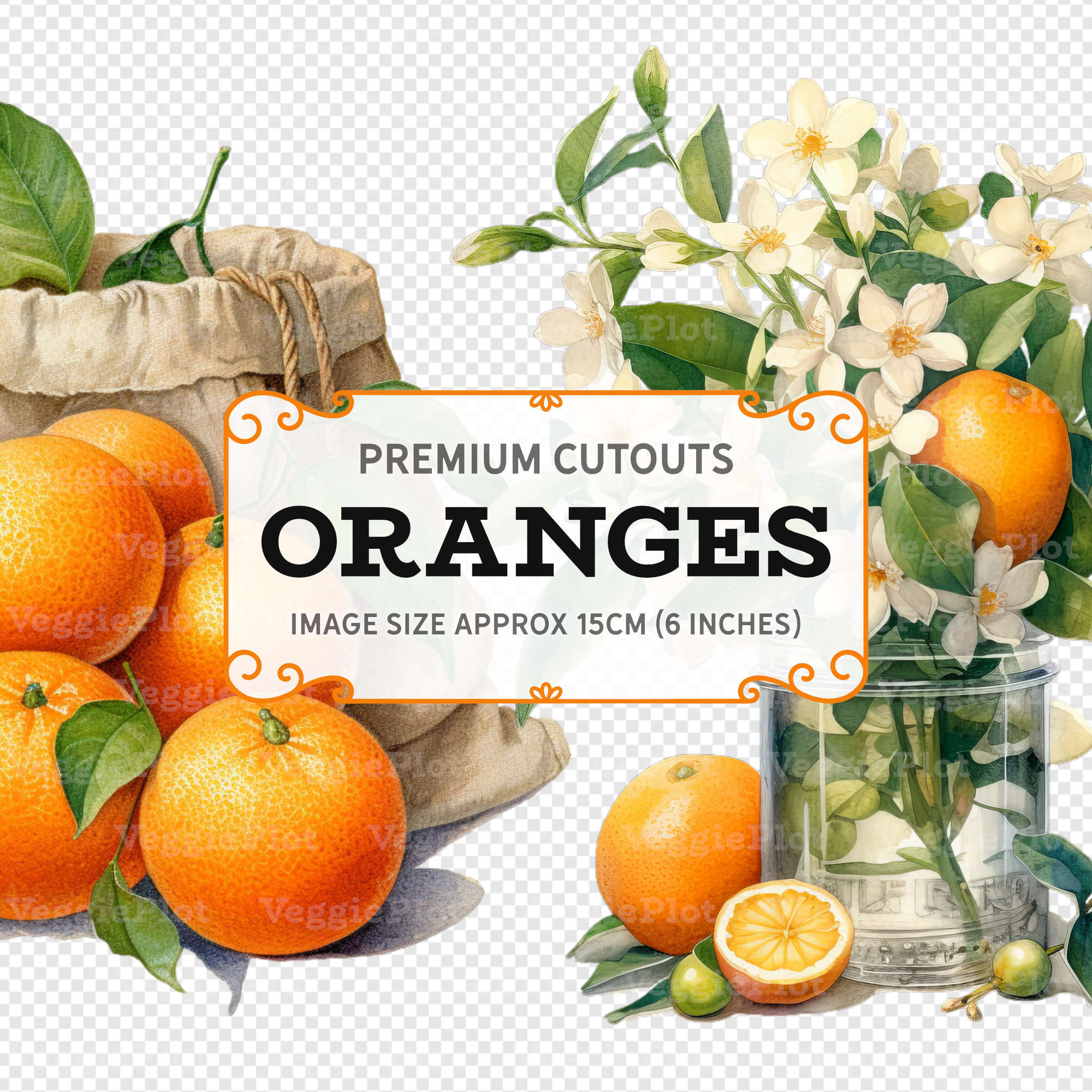 VeggiePlot Oranges Clipart - Pack 2