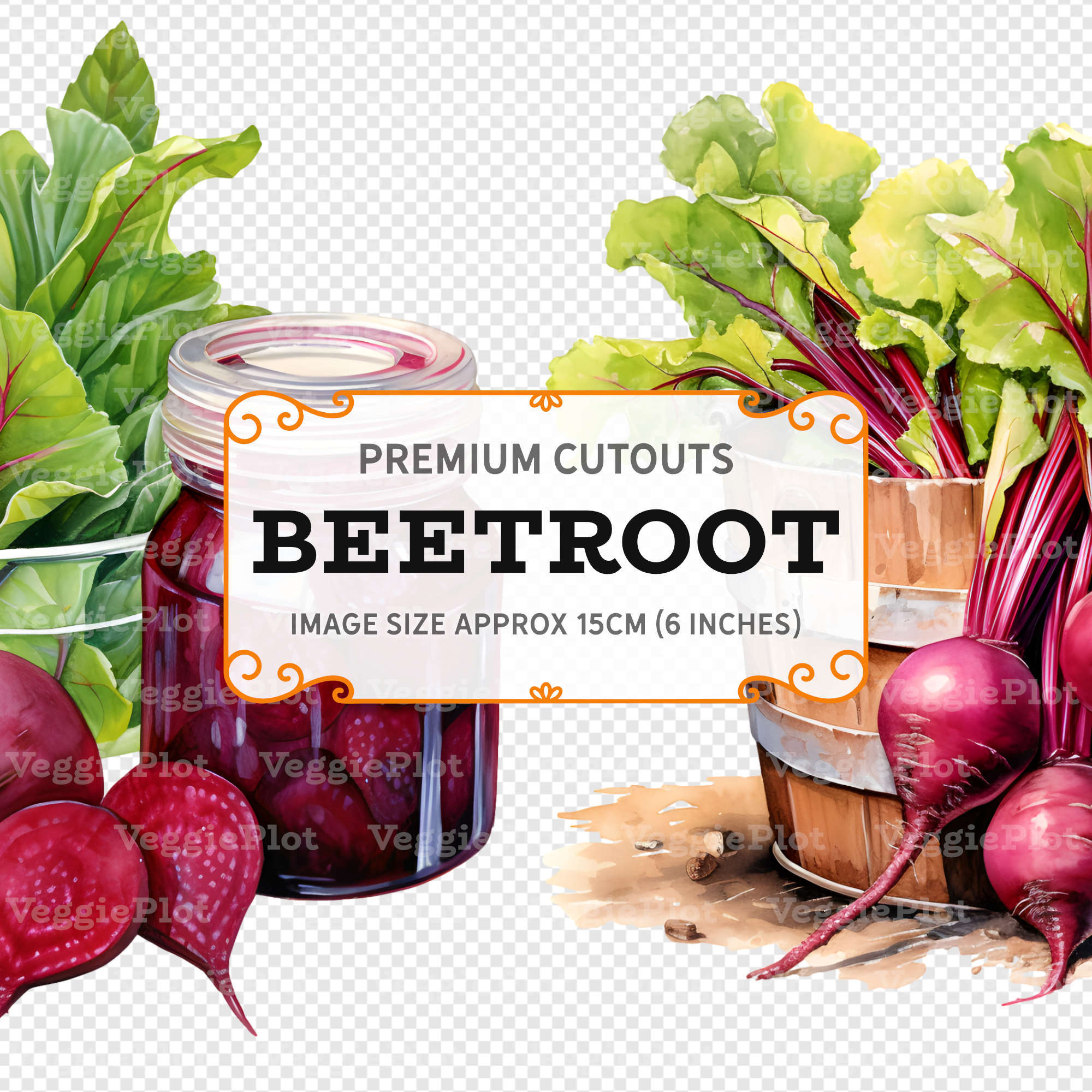 VeggiePlot Beetroot Clipart - Pack 1