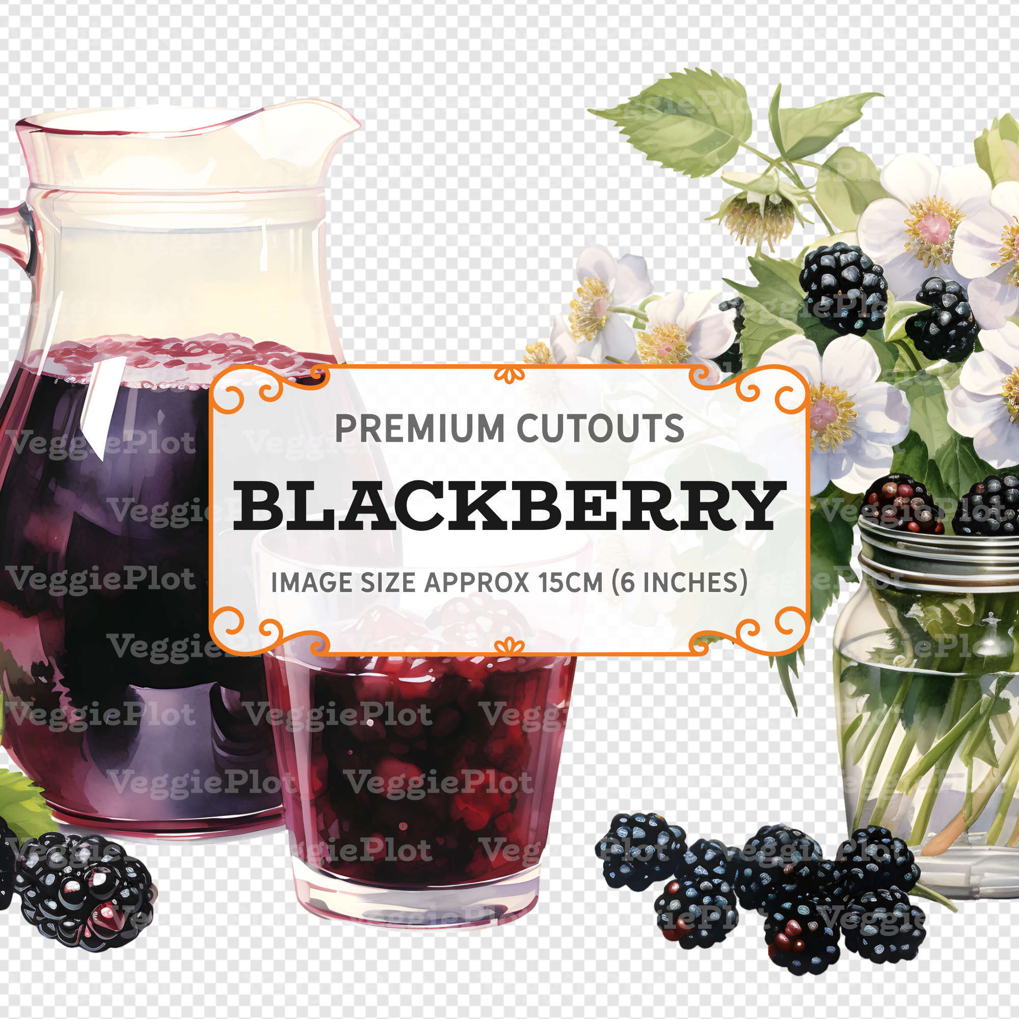 VeggiePlot Blackberry Clipart - Pack 1