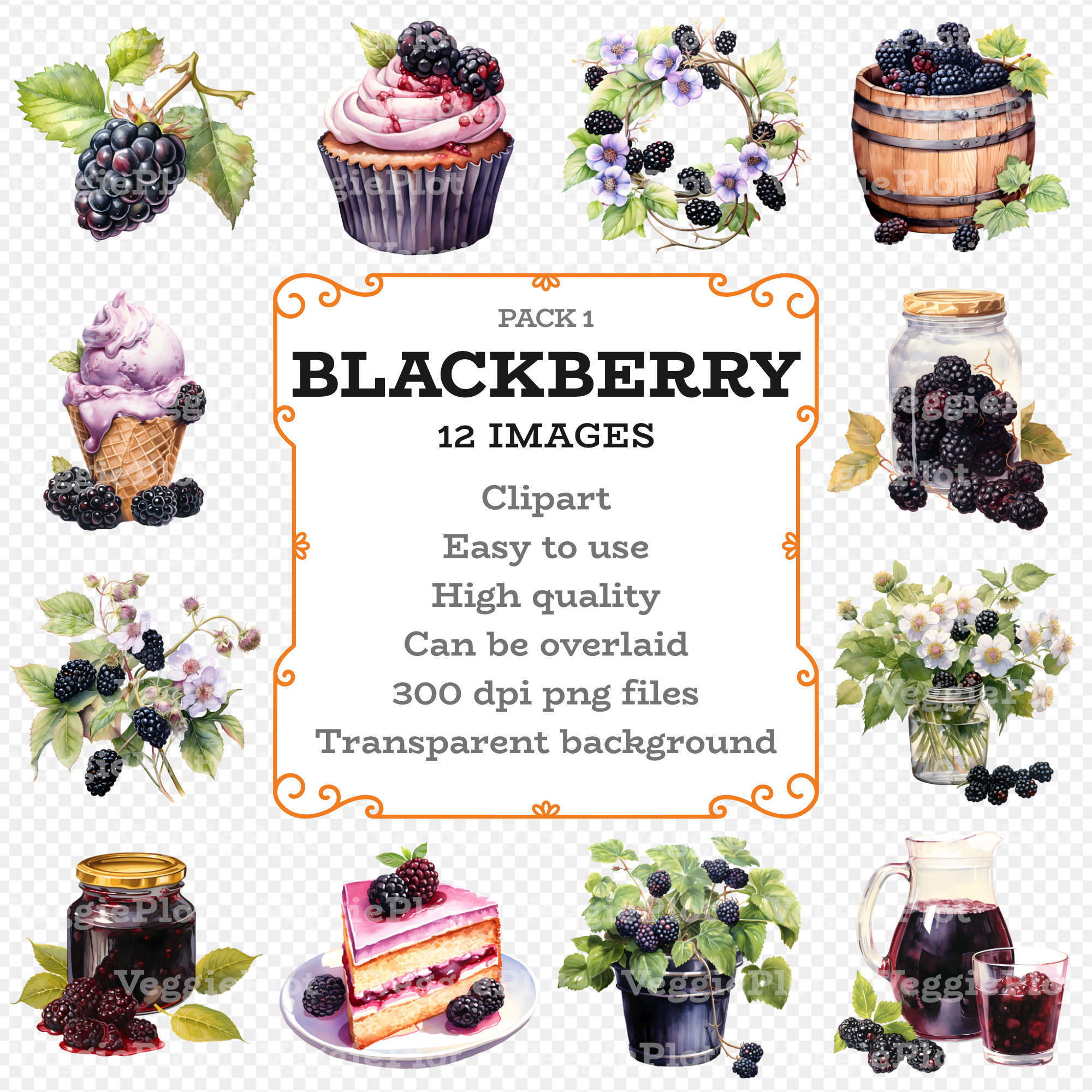 VeggiePlot Blackberry Clipart - Pack 1