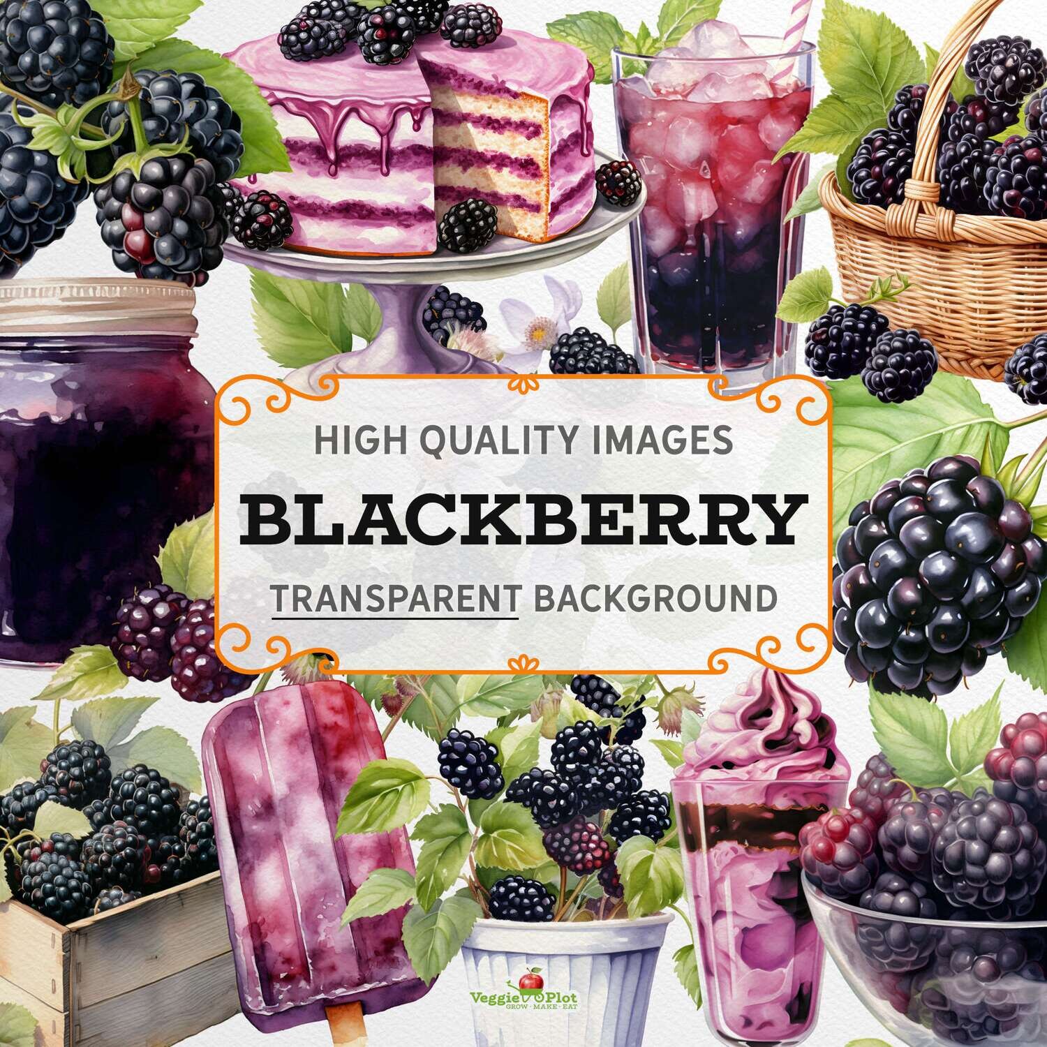 VeggiePlot Blackberry Clipart - Pack 2
