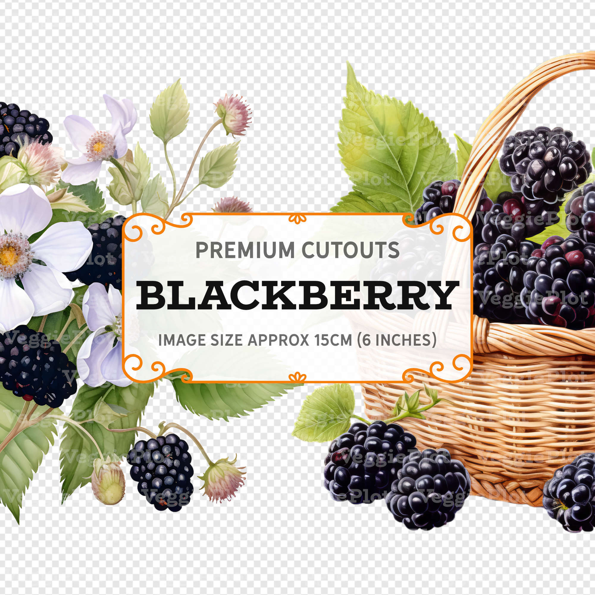 VeggiePlot Blackberry Clipart - Pack 2