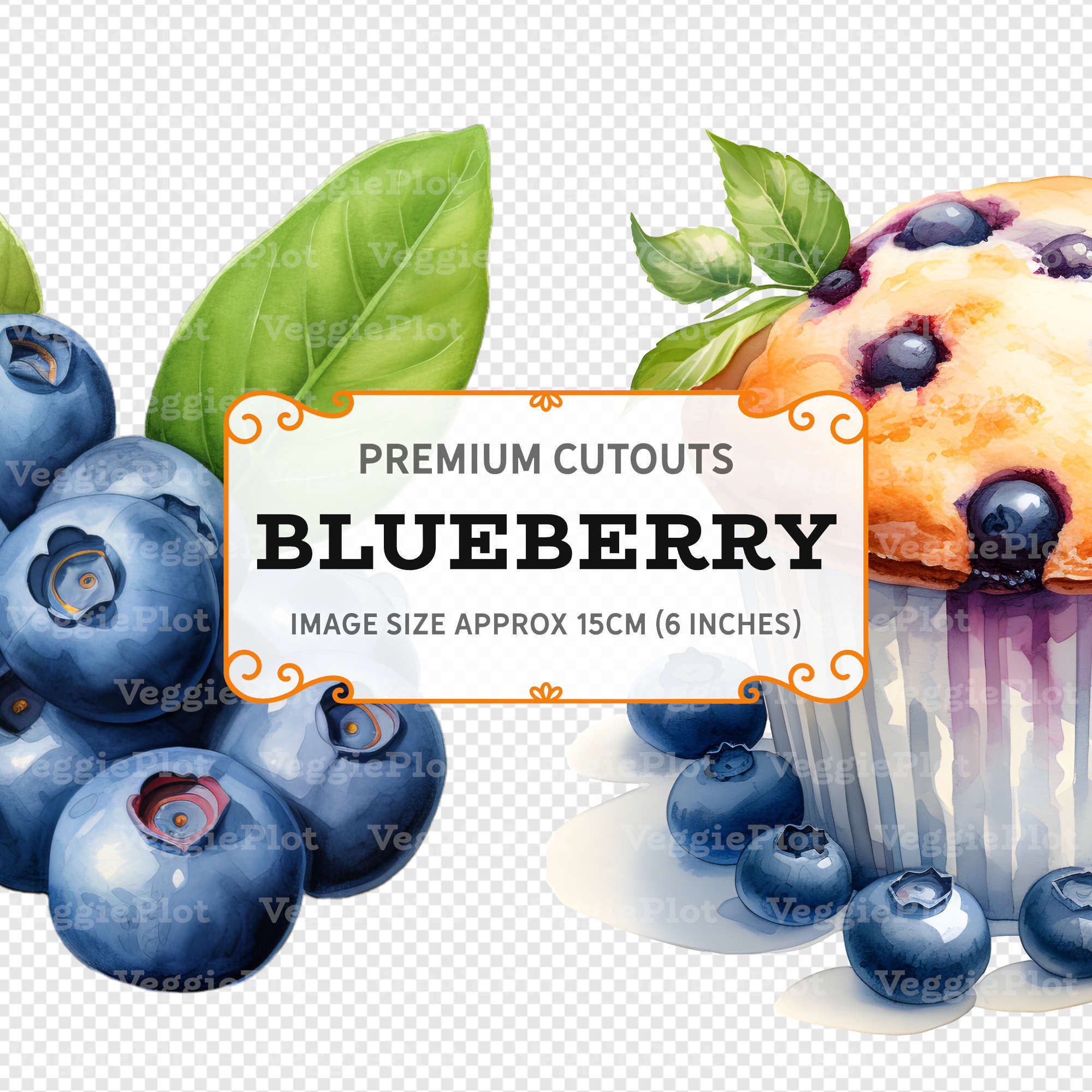 VeggiePlot Blueberry Clipart - Pack 2
